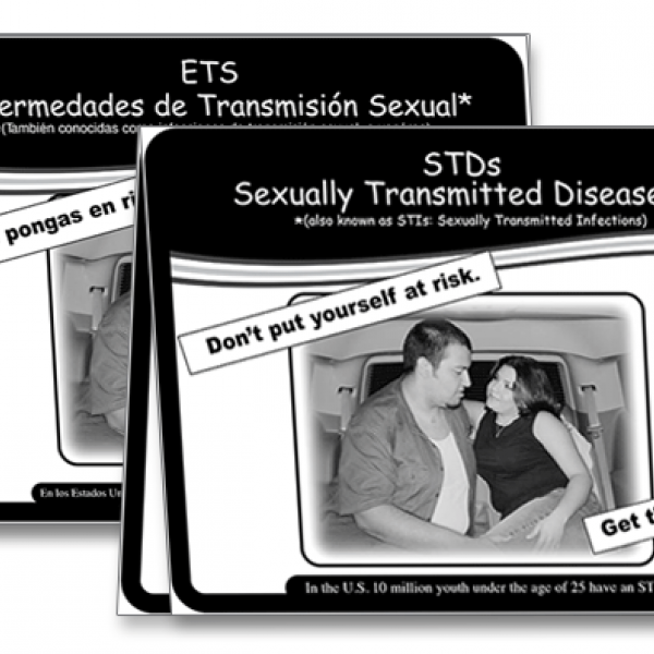 STDs: Sexually Transmitted Diseases Flipchart