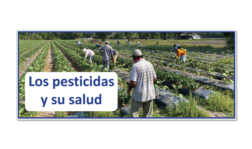 Heat and Pesticides
